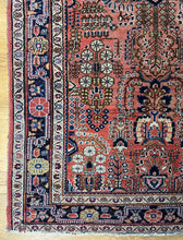 Load image into Gallery viewer, Homa