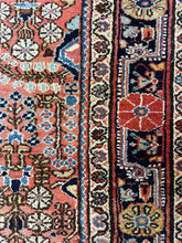 Load image into Gallery viewer, Homa