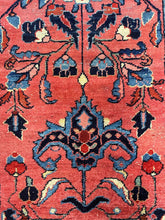 Load image into Gallery viewer, Goli