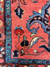 Load image into Gallery viewer, Goli