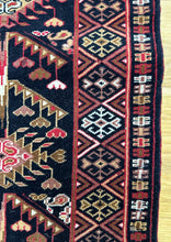 Load image into Gallery viewer, Pariwish