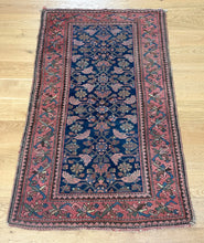 Load image into Gallery viewer, Zari