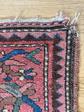 Load image into Gallery viewer, Zari