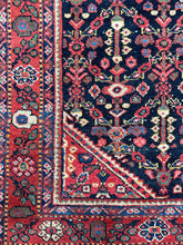 Load image into Gallery viewer, Nazli