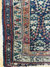 Load image into Gallery viewer, Agrin