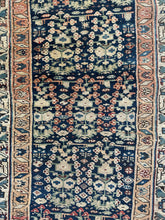 Load image into Gallery viewer, Agrin