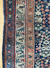 Load image into Gallery viewer, Agrin