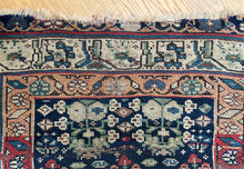 Load image into Gallery viewer, Agrin