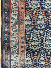 Load image into Gallery viewer, Agrin