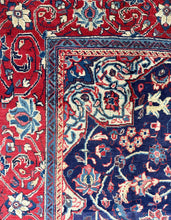 Load image into Gallery viewer, Delara