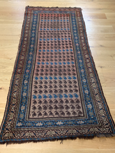 Load image into Gallery viewer, Eylo