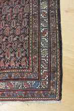 Load image into Gallery viewer, Anthimos