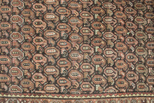 Load image into Gallery viewer, Anthimos