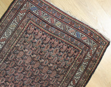 Load image into Gallery viewer, Anthimos