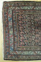 Load image into Gallery viewer, Anthimos