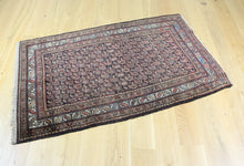 Load image into Gallery viewer, Anthimos