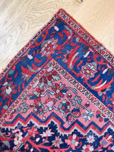 Load image into Gallery viewer, Parvin