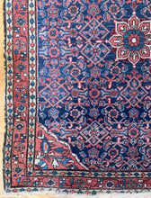 Load image into Gallery viewer, Noor