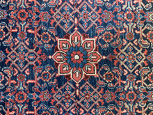 Load image into Gallery viewer, Noor