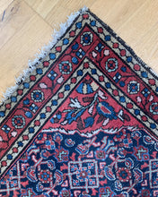 Load image into Gallery viewer, Noor