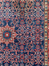 Load image into Gallery viewer, Noor