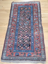 Load image into Gallery viewer, Manijeh