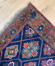 Load image into Gallery viewer, Golzan