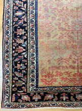 Load image into Gallery viewer, Shahnaz