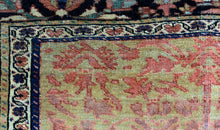 Load image into Gallery viewer, Shahnaz