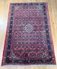 Load image into Gallery viewer, Nousha