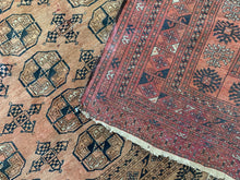 Load image into Gallery viewer, Diba