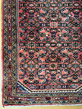 Load image into Gallery viewer, Baran