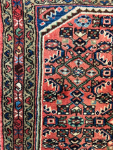 Load image into Gallery viewer, Baran