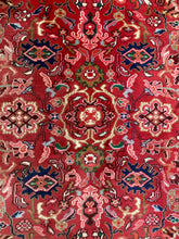 Load image into Gallery viewer, Roshan