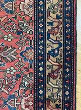 Load image into Gallery viewer, Morvarid