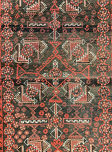 Load image into Gallery viewer, Basil