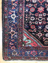 Load image into Gallery viewer, Anahita