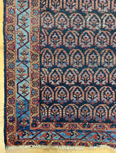 Load image into Gallery viewer, Akuta