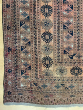 Load image into Gallery viewer, Diba