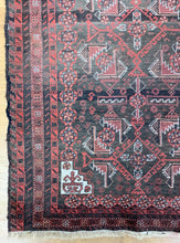 Load image into Gallery viewer, Basil