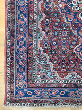 Load image into Gallery viewer, Zana