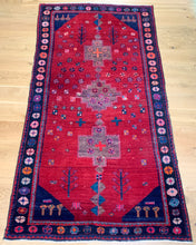 Load image into Gallery viewer, Vida