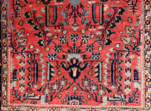 Load image into Gallery viewer, Babak