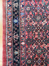 Load image into Gallery viewer, Nousha