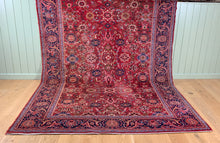 Load image into Gallery viewer, Roshan