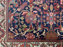 Load image into Gallery viewer, Navid