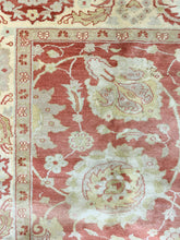 Load image into Gallery viewer, Naunet