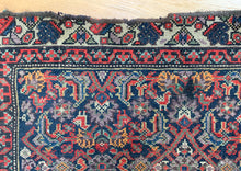 Load image into Gallery viewer, Kia