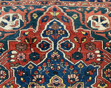 Load image into Gallery viewer, Sanaz