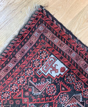 Load image into Gallery viewer, Basil